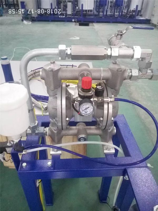 進(jìn)口隔膜泵